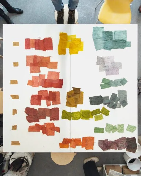 Extended color palette from 3 plant dyes laid out on a table