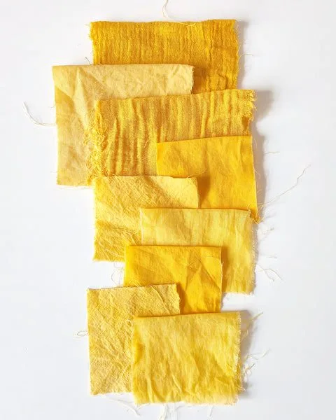 Chamomile dye on different cotton fiber types