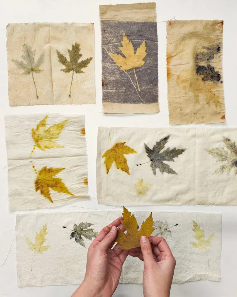 Eco-printing with leaves