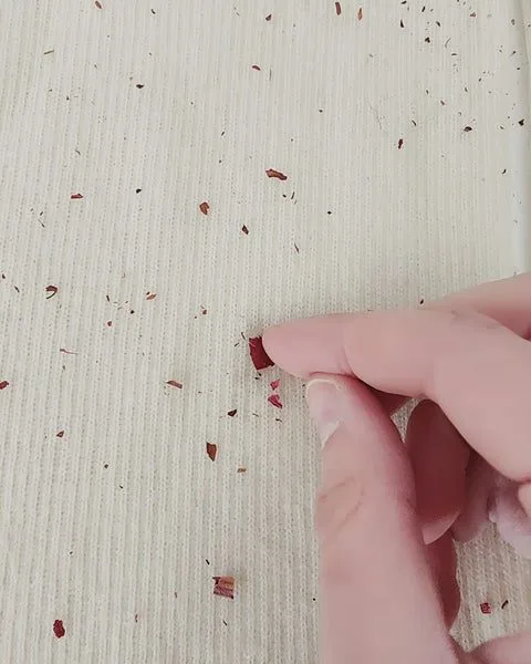 Laying rose petals on the turtleneck