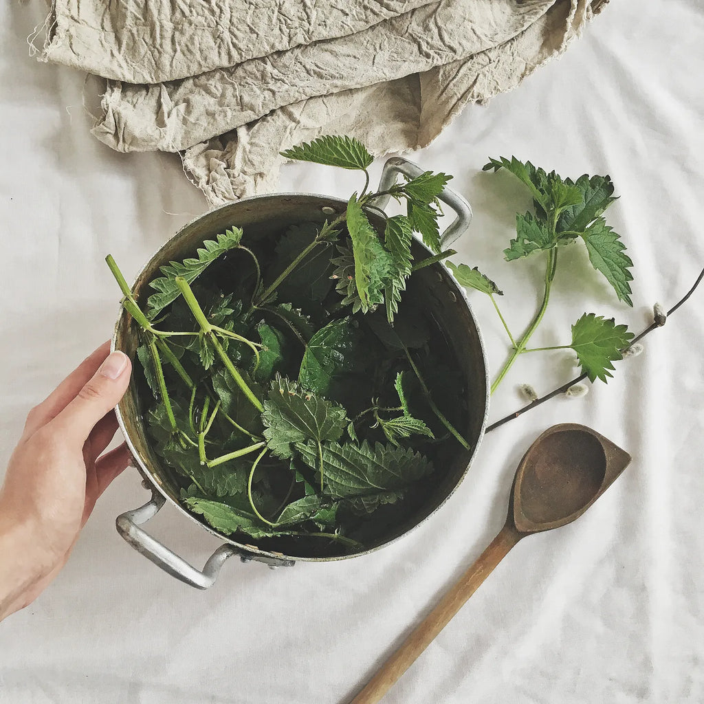 A beginner's guide to plant dyeing