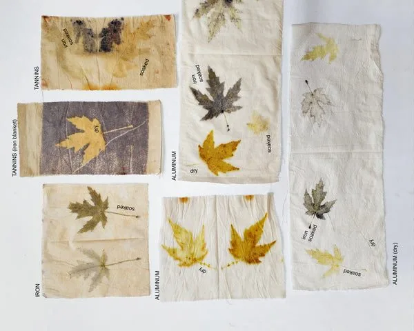 Eco-printed samples
