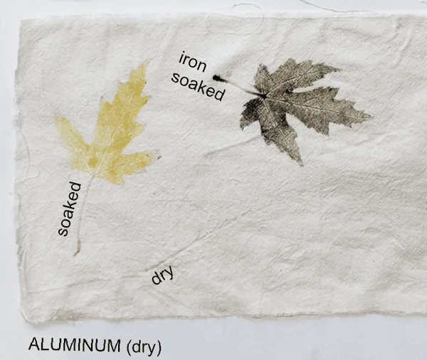 Soaked leaves printed onto fabric