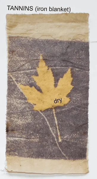Eco print with an iron-blanket