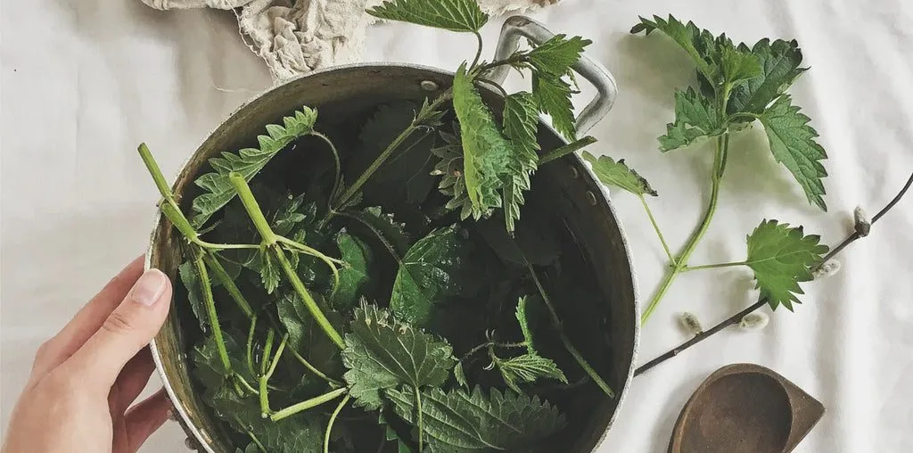 How to dye with plants