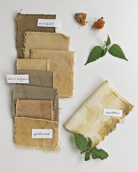 Extracting dye from local plants