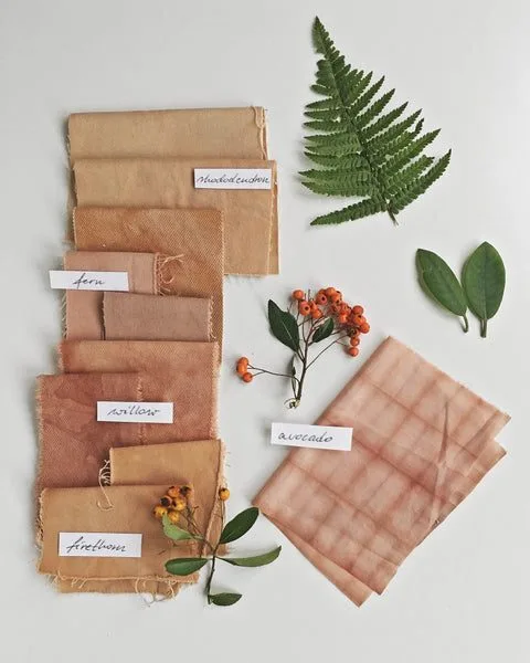 Storing dried dye plants