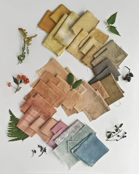 Traditional and kitchen dye plants