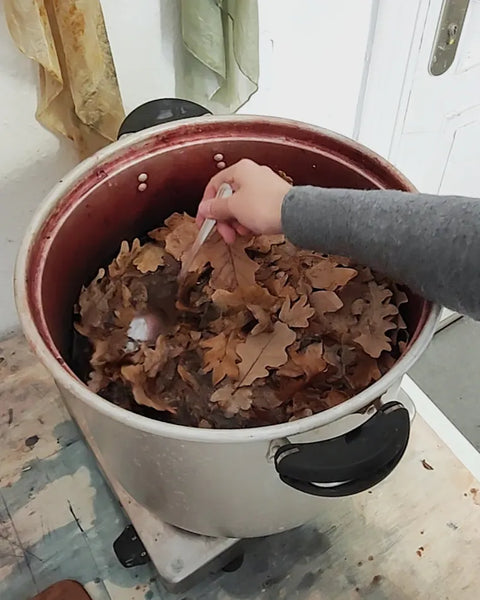 Extracting natural color from oak leaves