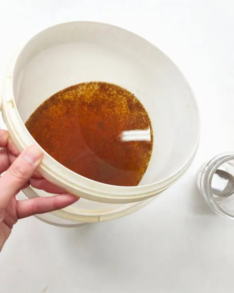 Making botanical pigments