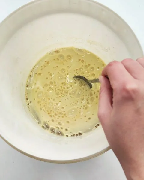 Making dye bath into pigment