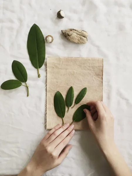 Printing with plants onto fabric