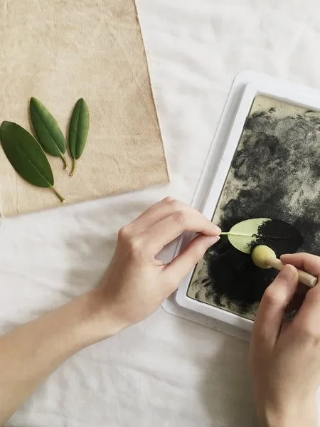 Collecting leaves for printing onto fabric