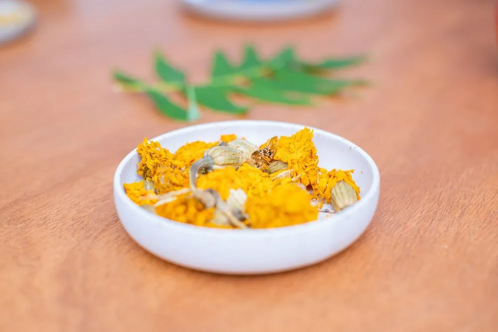 Extracting natural dye from plant material