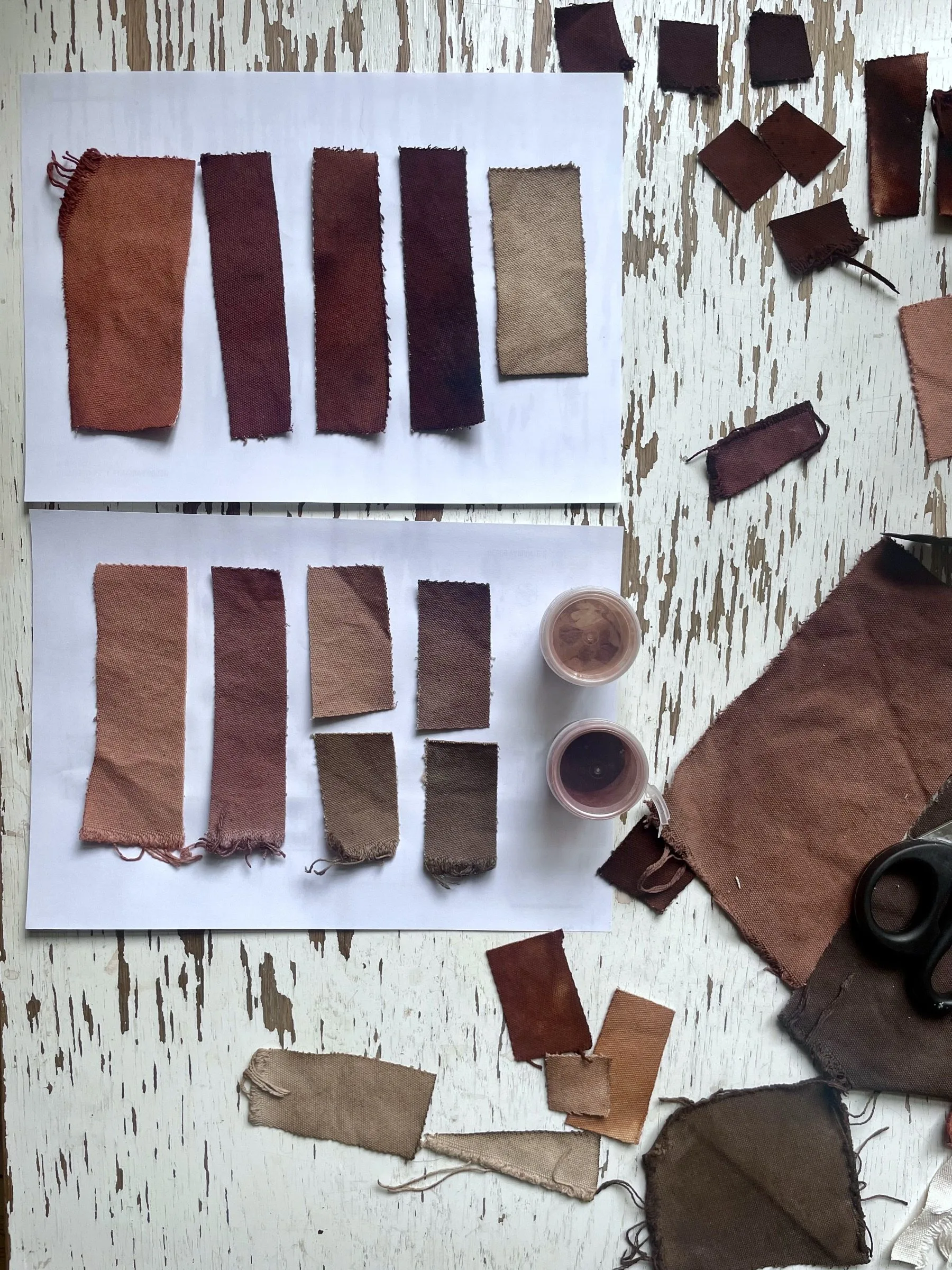 Plant dye sampling on fabric